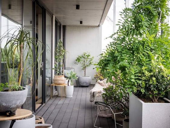 10 idées de brise-vue pour préserver l'intimité de votre terrasse