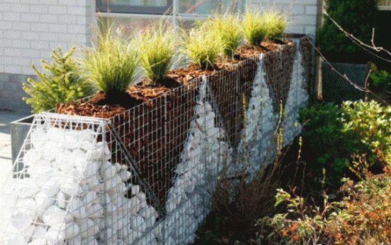 mur cloture gabion avec plantes