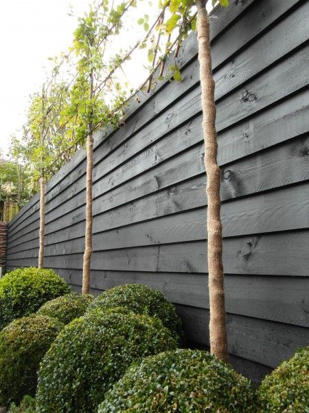 10 palissades bois tendance pour clôturer son jardin