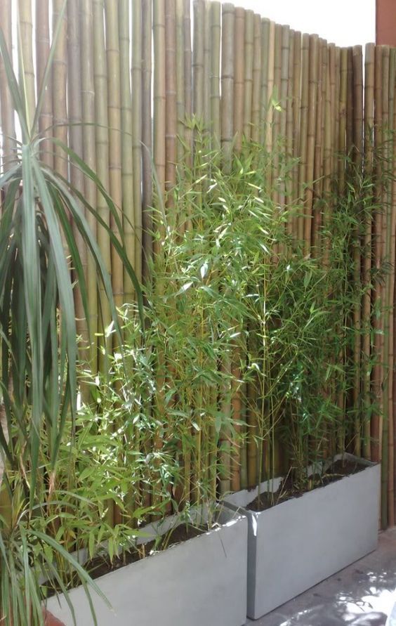 cloture fait maison avec des bambous