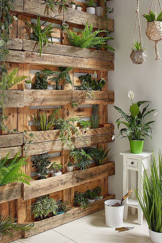 mur végétal en palette pour décorer sa terrasse